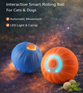 Interactive Anxiety-Relief Toy Ball for Dogs